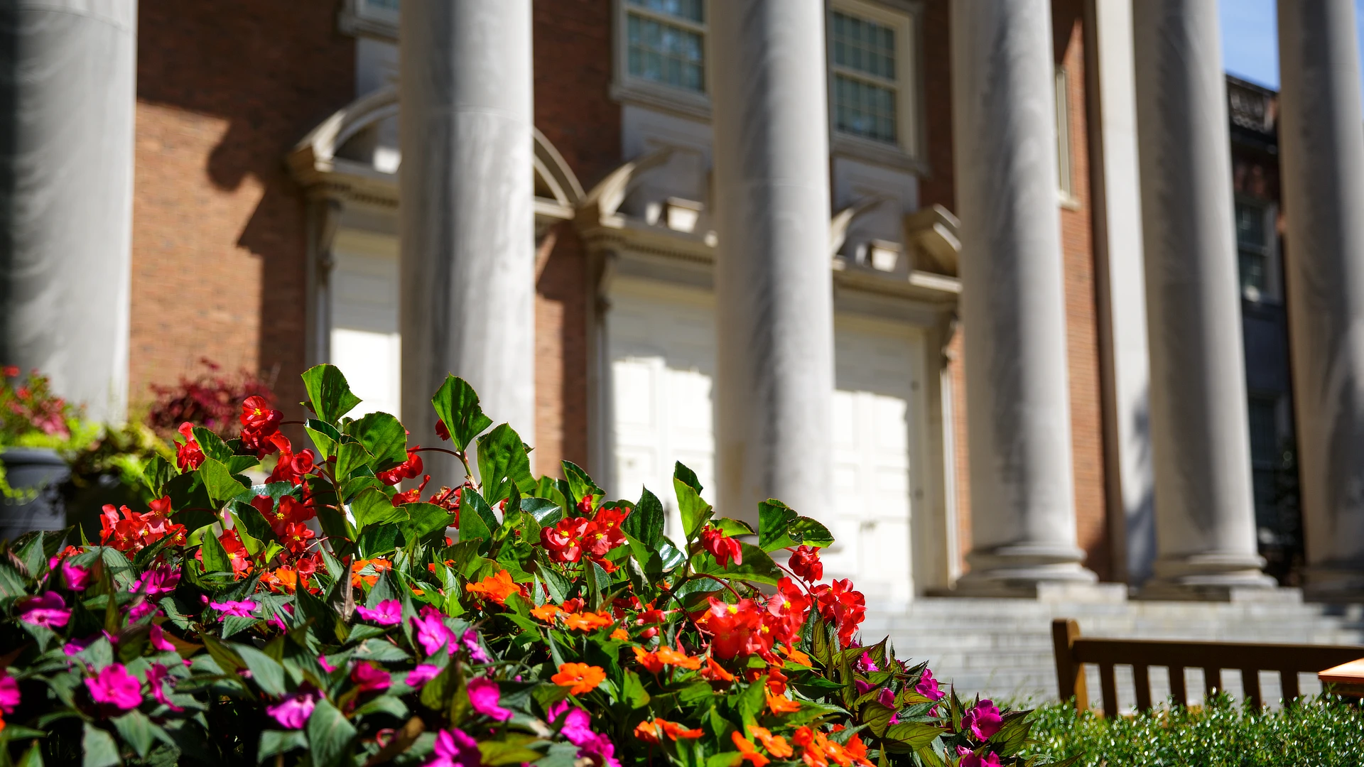 Campus Beauty Header Image