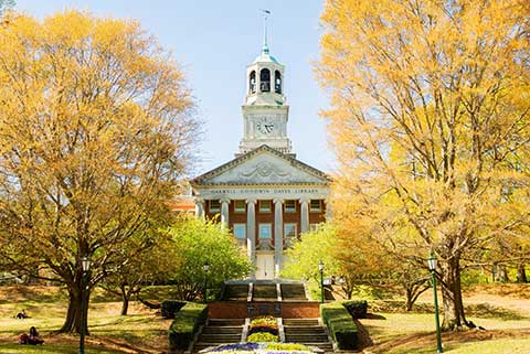 Library in Fall