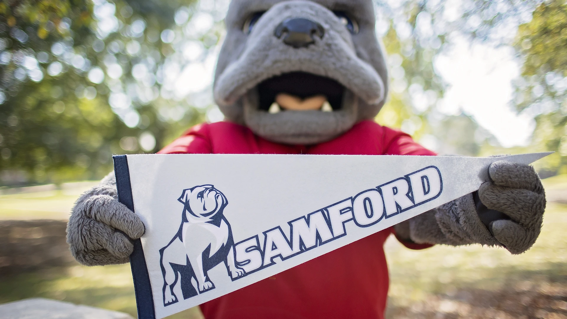 spike holding a bulldog banner