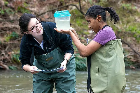 inspecting sample from creek