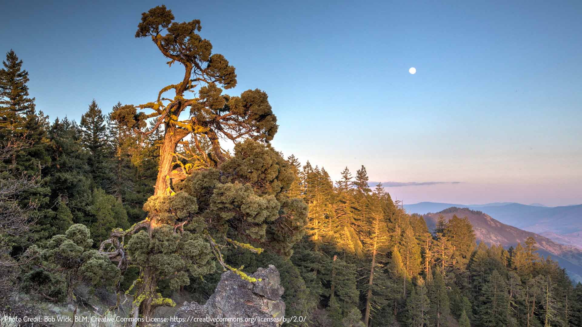 Moonrise over the Cascade Mountains