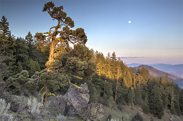 Cascade Mountains (Bob Wick, BLM)