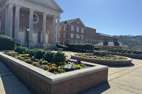garden in front of beeson