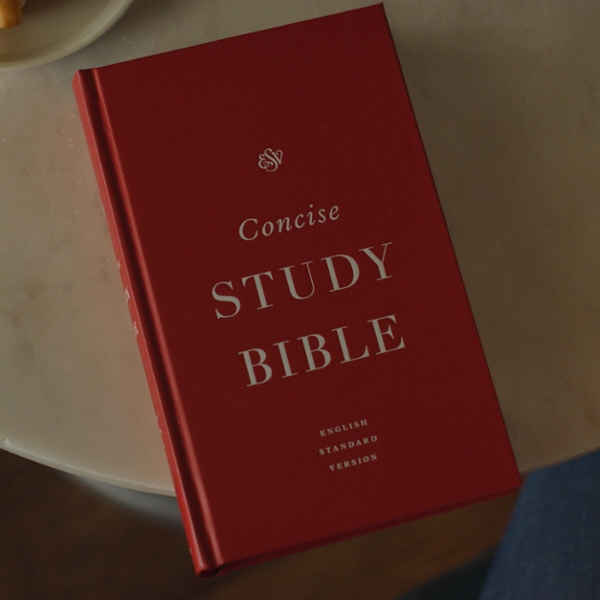 ESV Concise Study Bible