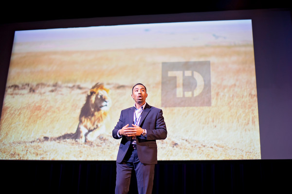 Lion's Den Pitch