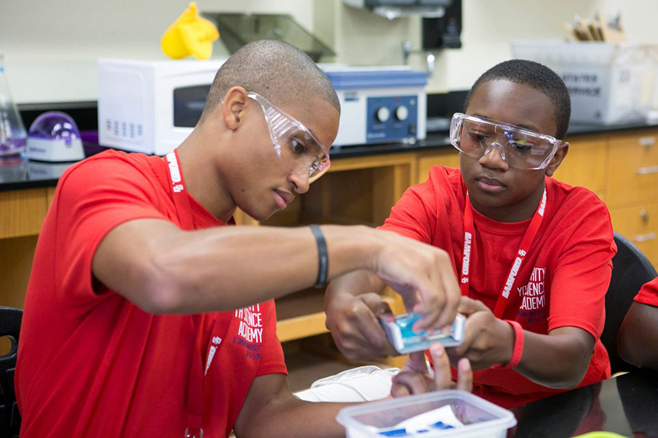 Diversity Working in the Lab