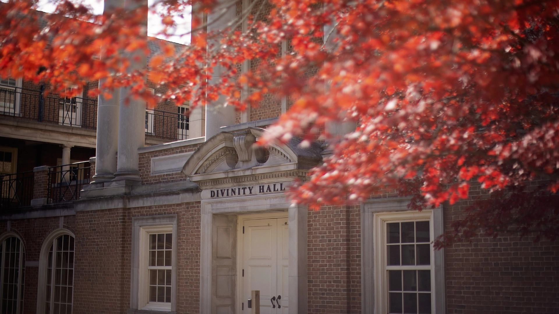 red trees at Divinity Hall