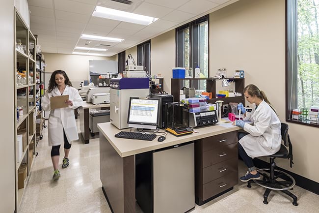 Students in College of Health Sciences' Nutrition Research Lab