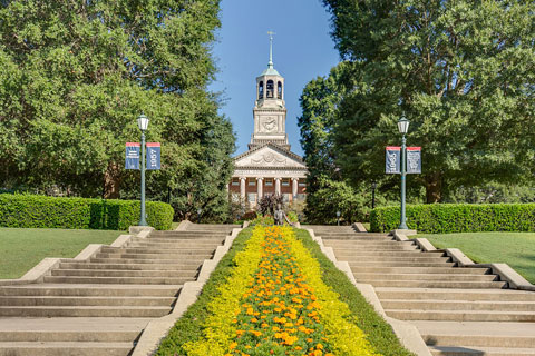 View of Library from Centennial Walk