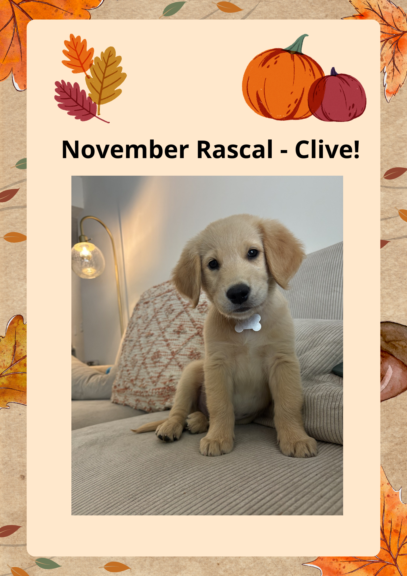 November2025Rascal