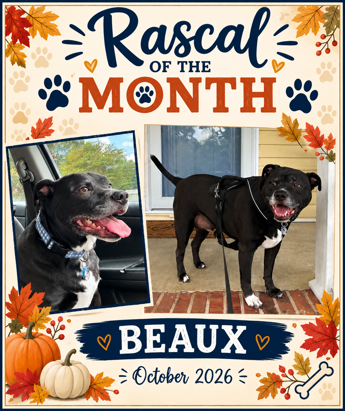 Oct2026Rascal
