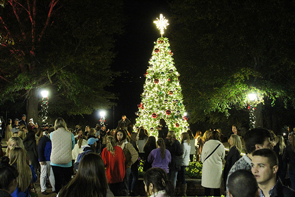 christmas tree on the quad