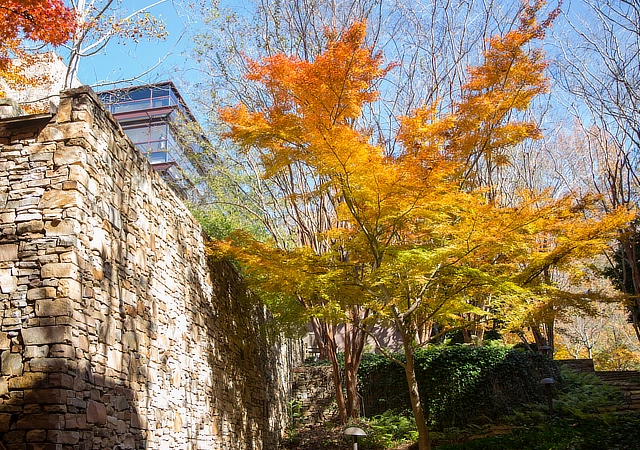 chs building outside walk area