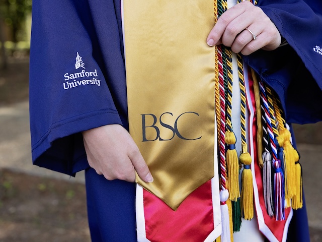 BCS Stole