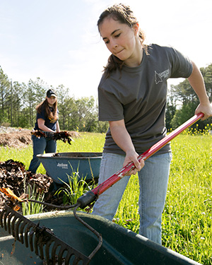 Samford Gives Back 2013