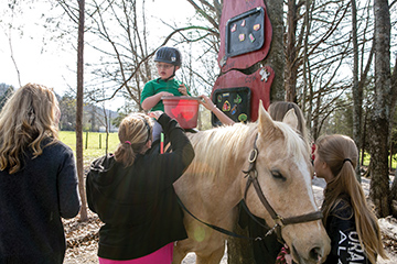 Special equestrians