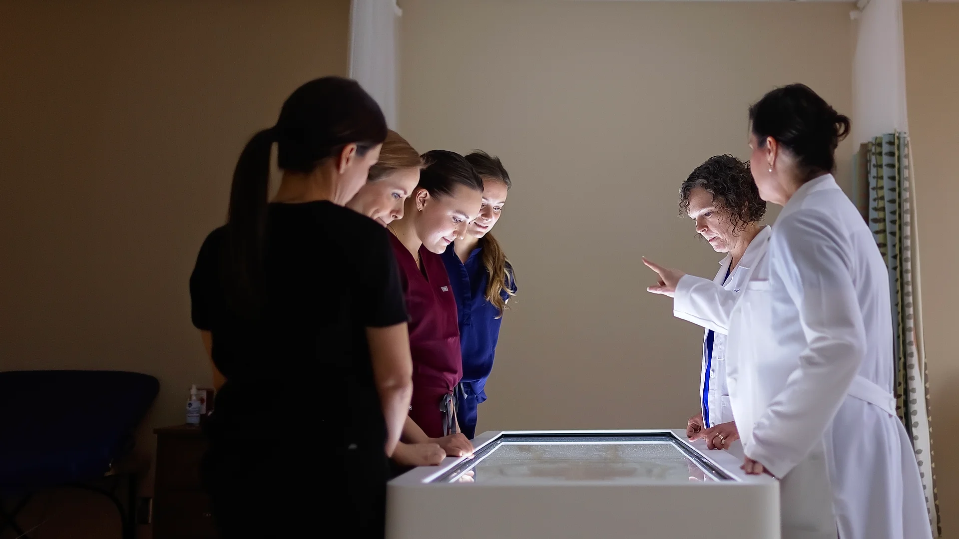 Students Viewing Anatomage