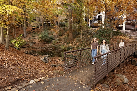 Fall At CHS