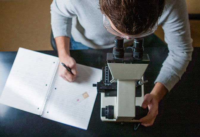 Student conducting pharmacy research.