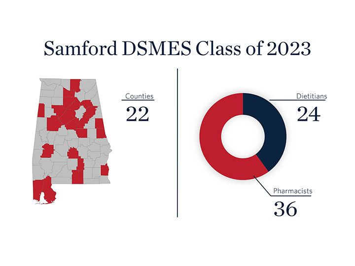 DSMES Infographic web