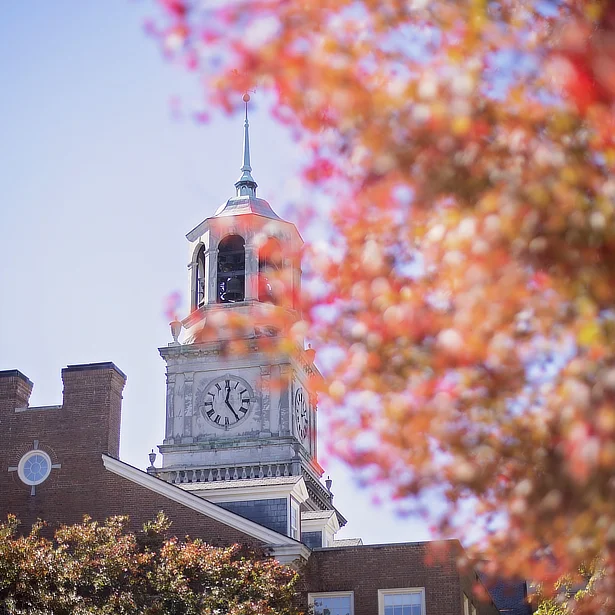 Library bell tower