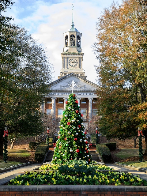 samford entrance christmas tree